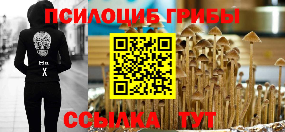 Псилоцибиновые грибы прущие грибы  Галлюциногенные грибы GOLDEN TEACHER  Вход с VPN  Тосно 